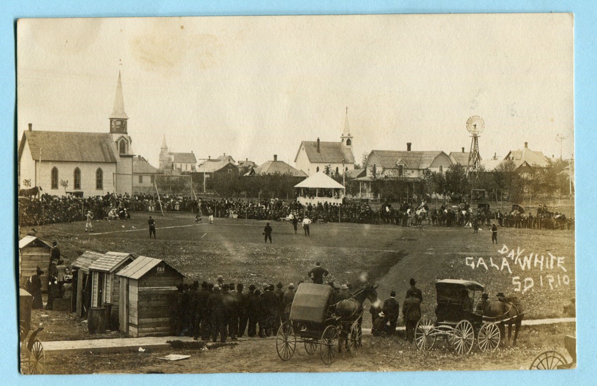 The Skimmers tweet media