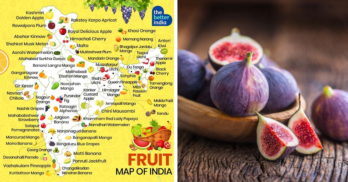 The Better India On Twitter https thebetterindia 296051 fruit the-better-india-on-twitter-https-thebetterindia-296051-fruit