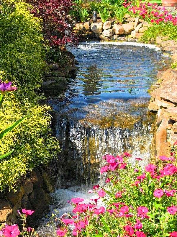 Fernand92542445's tweet photo. Good morning everyone💦🌸
#GoodMorningTwitterWorld #cottagecore #water #homeandgarden #gardencore #aesthetic #paradise #adventure #scenery #travel #flora #flowercore #aesthetics #plants #Motivation #photo #photooftheday #photographer https://t.co/lwunNb7UsJ