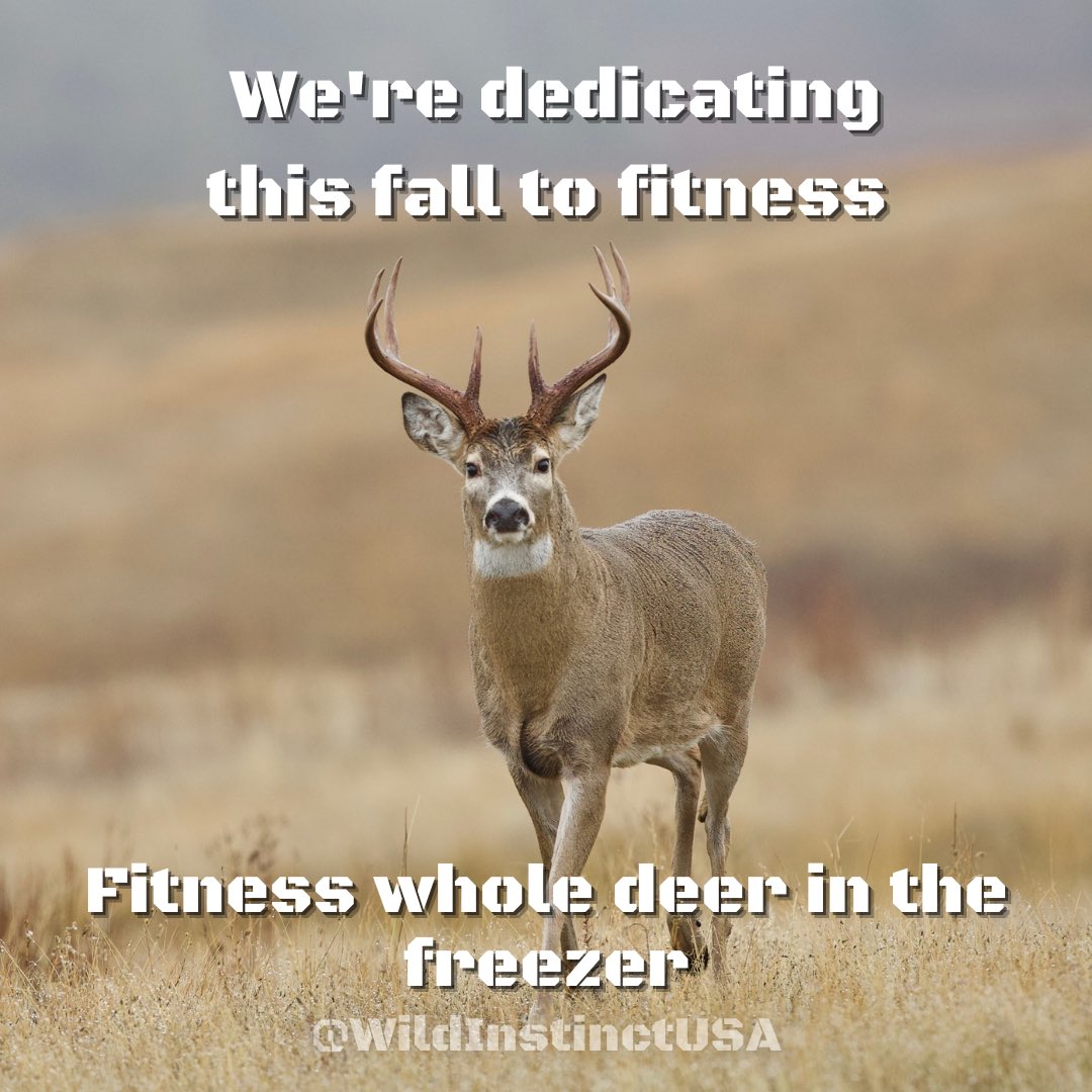 Wild Instinct tweet media