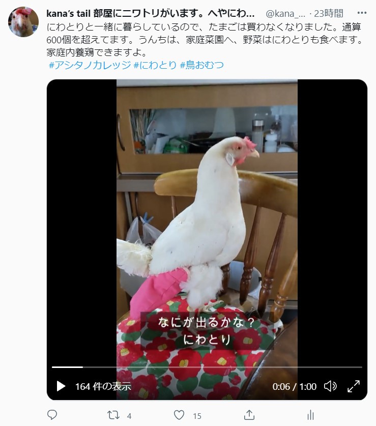Kana S Tail 部屋にニワトリがいます へやにわとり Kana Tail Twitter