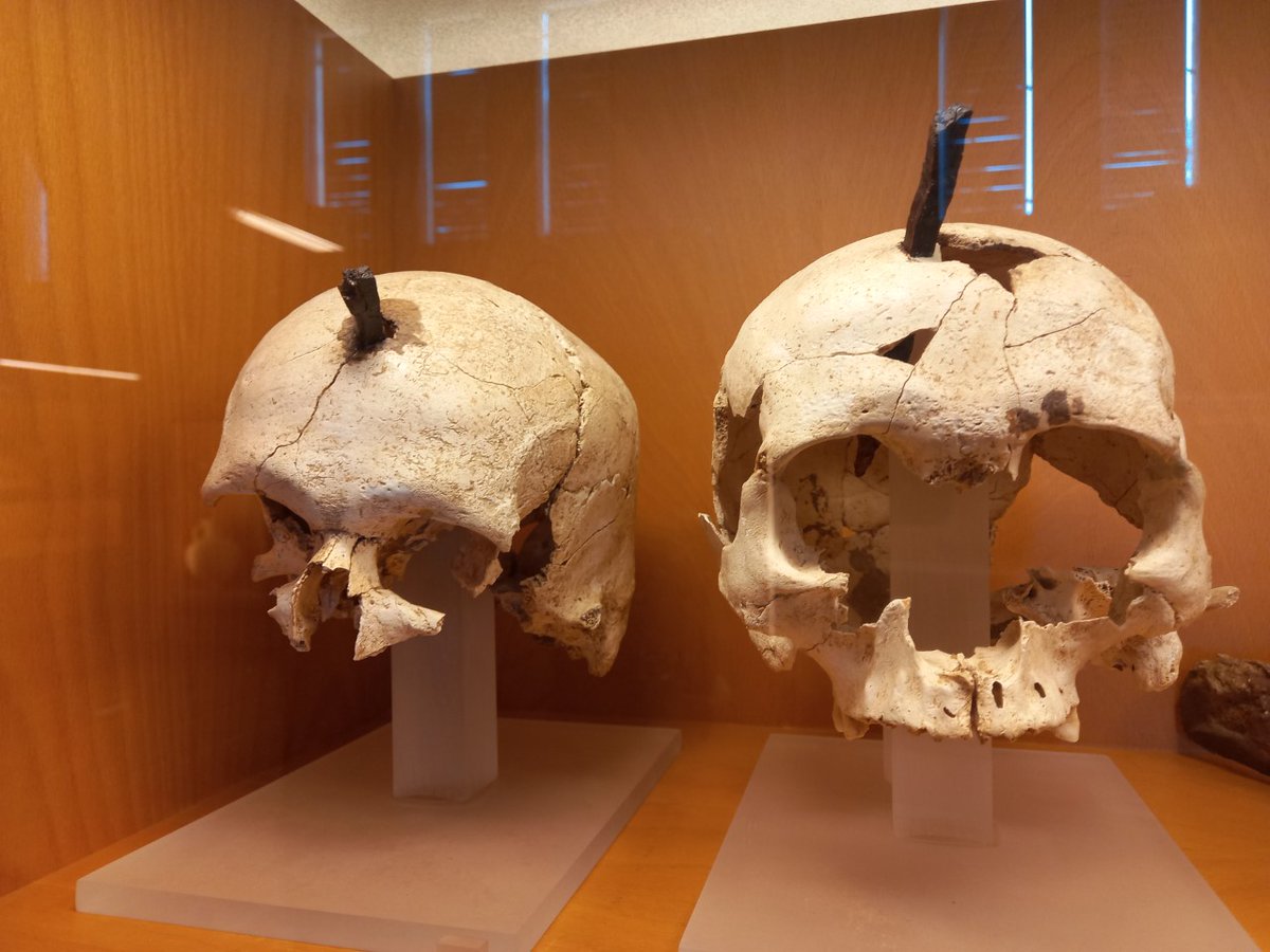 Queridos, ya estoy de regreso por estos lares! y tal como prometí, llego cargada con baúles repletos de increíbles tesoros e historias que os iré relatando. De momento, os dejo con esta impactante imagen de los cráneos clavados (s.IIIaC) de la Ciudad Ibérica d'Ullastret (Girona)