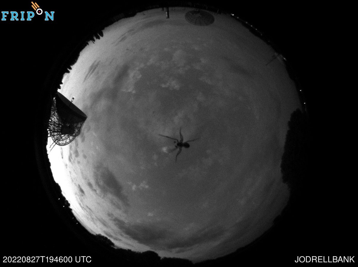 Looks like we have an alien invader <a href="/jodrellbank/">Jodrell Bank</a> <a href="/EarthSolarSystm/">Earth and Solar System</a>!