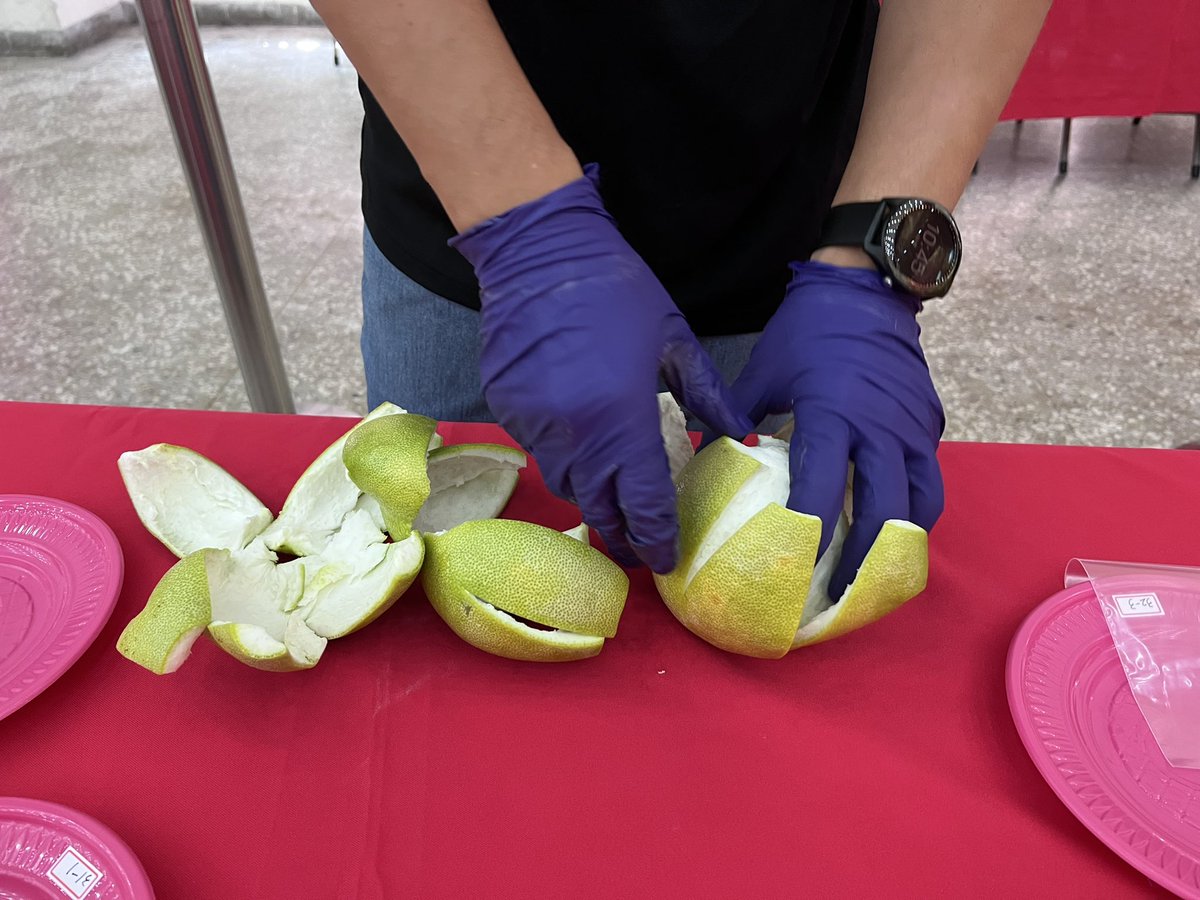ChangLanyen's tweet photo. What the champion fruit looks like. Taiwaneses prefer greenish-yellow color and slightly soft peel suggesting the work of 5-7 d room temp “curing” was done.
Flavor, aroma, taste, same size, free of defects and degreen level were used to judge the fruit. https://t.co/96fouZxzCQ