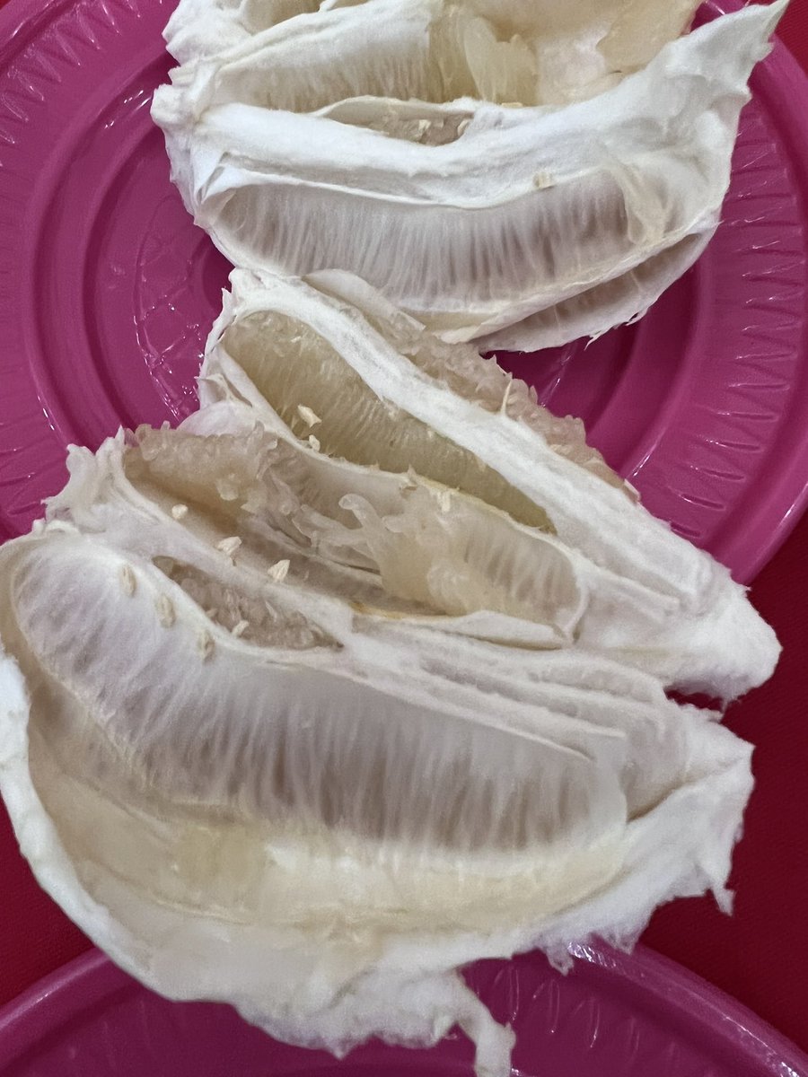 ChangLanyen's tweet photo. What the champion fruit looks like. Taiwaneses prefer greenish-yellow color and slightly soft peel suggesting the work of 5-7 d room temp “curing” was done.
Flavor, aroma, taste, same size, free of defects and degreen level were used to judge the fruit. https://t.co/96fouZxzCQ