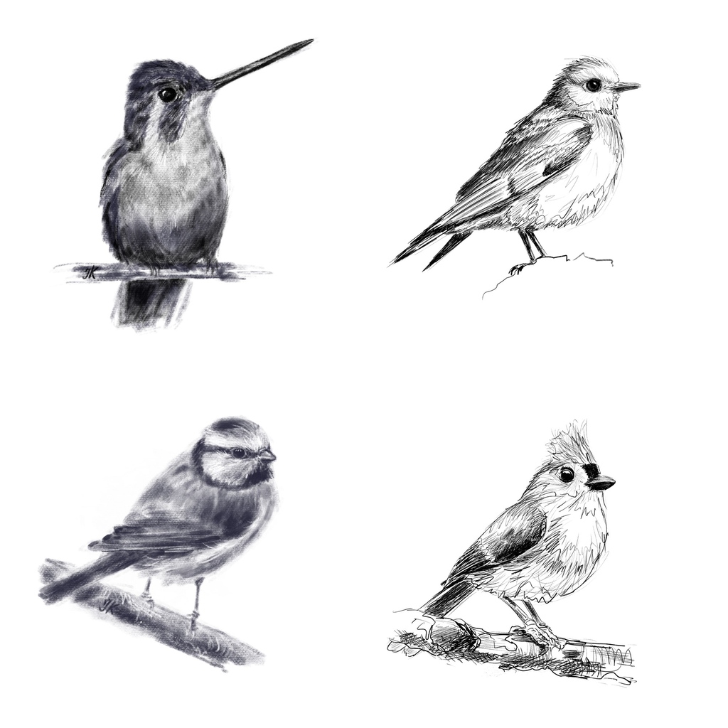 Hi there! Charcoal VS Dry Ink! What do you like more? All these sketches I drew on Procreate. On the left side, you see the charcoal drawings, respectively on the right side, I've placed the #birdsketch by ink brush. Tell me your thoughts about the birds!⁠
⁠
#art #sketching