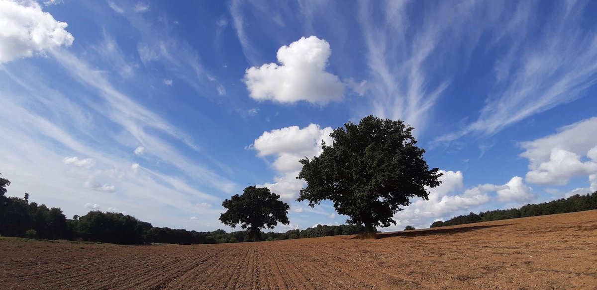 harvjoy319's tweet photo. @ChrisPage90 Hi Chris Levington, Suffolk great cloud formations this morning, John Harvey https://t.co/qCb9AaRB24