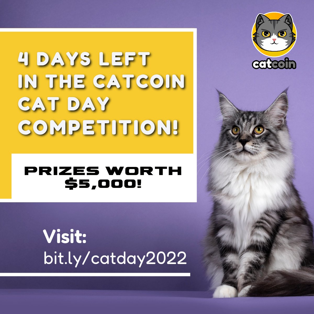 FreeCatcoin's tweet photo. 4 days left to participate in the #Catcoin Cat Day Competition! Don't miss out on up to $5,000 worth of prizes: https://t.co/ZvAUJGe5Fw 
#catcoinarmy https://t.co/evQ5Hf35dD