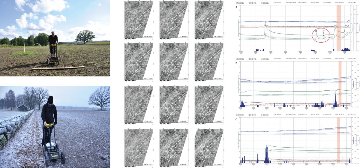dr Petra Schneidhofer tweet media