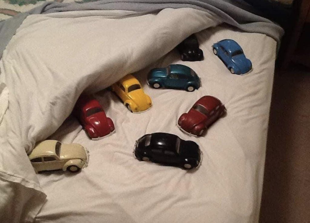 Oh no, bed bugs.