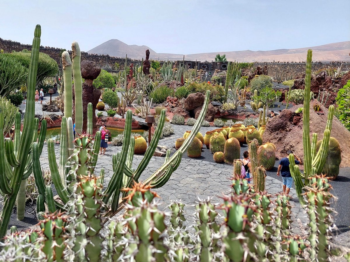 Luca_Arzuffi's tweet photo. #Lanzarote #Canarias https://t.co/PIMZvbxWCh