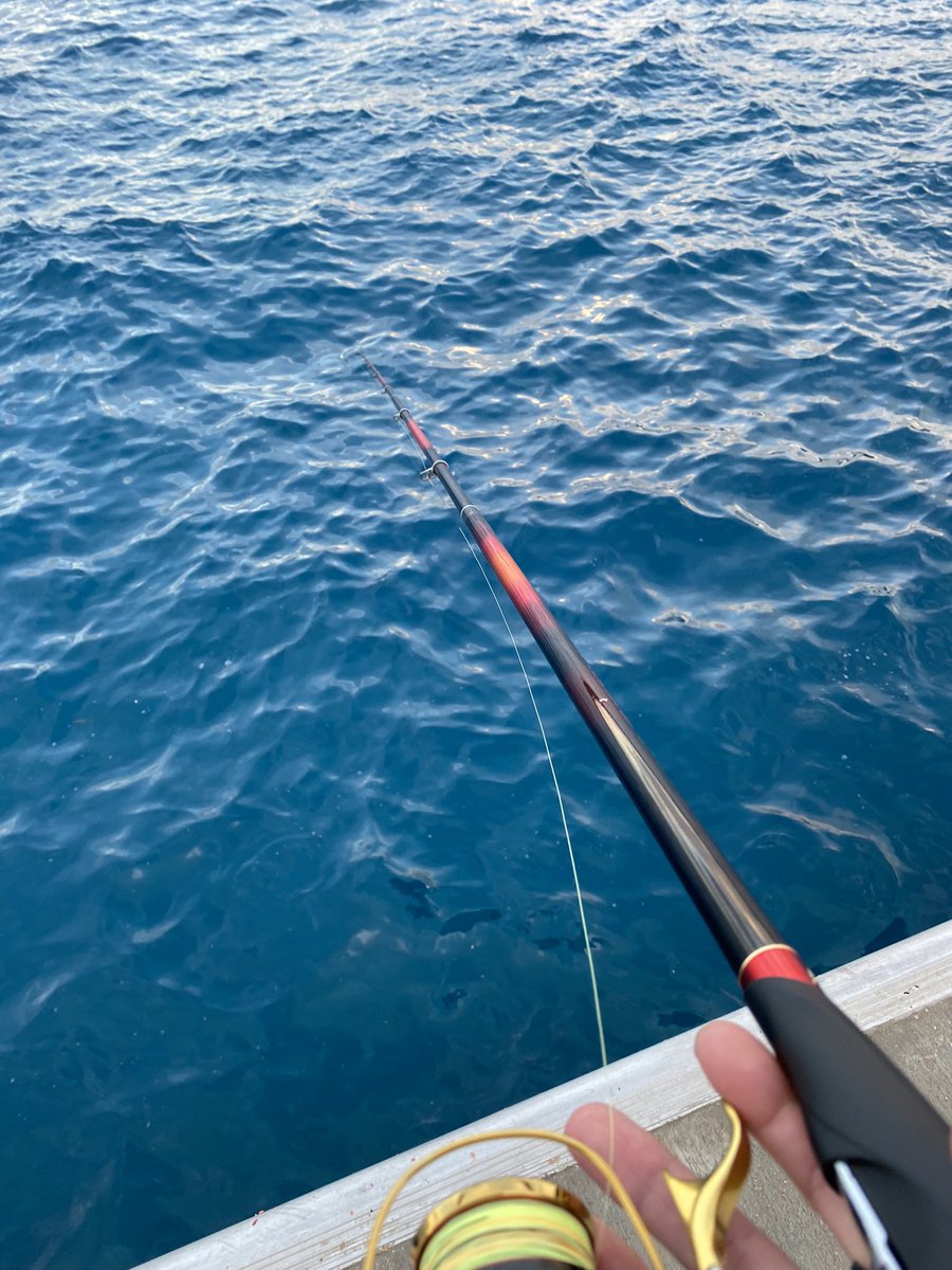 Tjb0902's tweet photo. たまにはこんな事も🤣🤌
上から下までじっくり流しました🌊🌀
色んな釣りがトーナメントに繋がります🙆‍♂️💜 https://t.co/k08BWOeNZ6