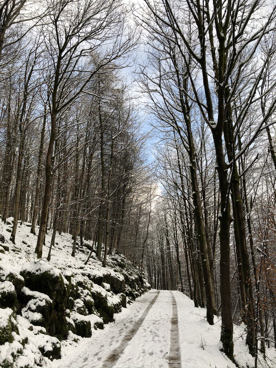 @DailyPicTheme2 Wintry #woods
#DailyPictureTheme #YorkshireDales @IngleborouTrail