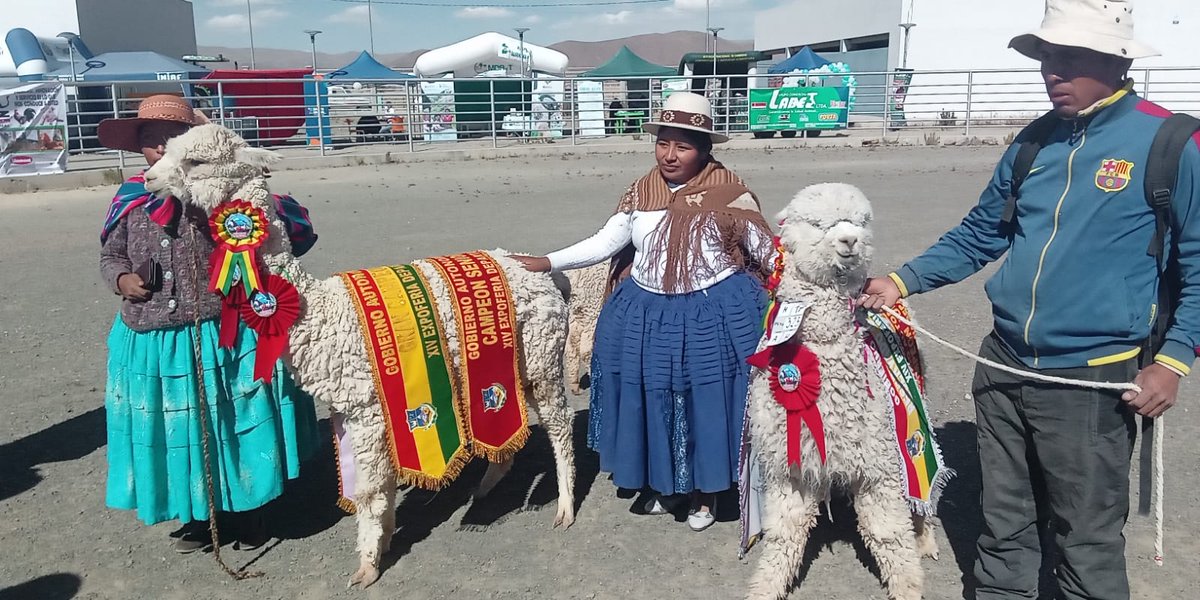 @INIAFBolivia - MDRyT tweet media