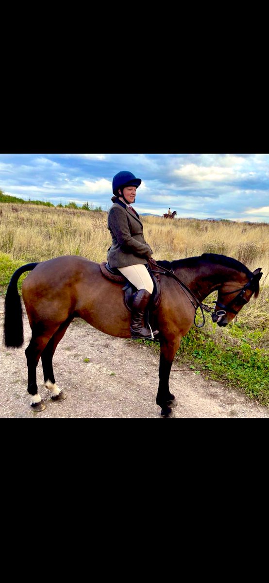 Vickiw83's tweet photo. Absolutely chuffed to get out on hound exercise over that last week. Especially on a tip top horse. #Billybanana #Ledbury #Foxhounds https://t.co/XkrjnribHF