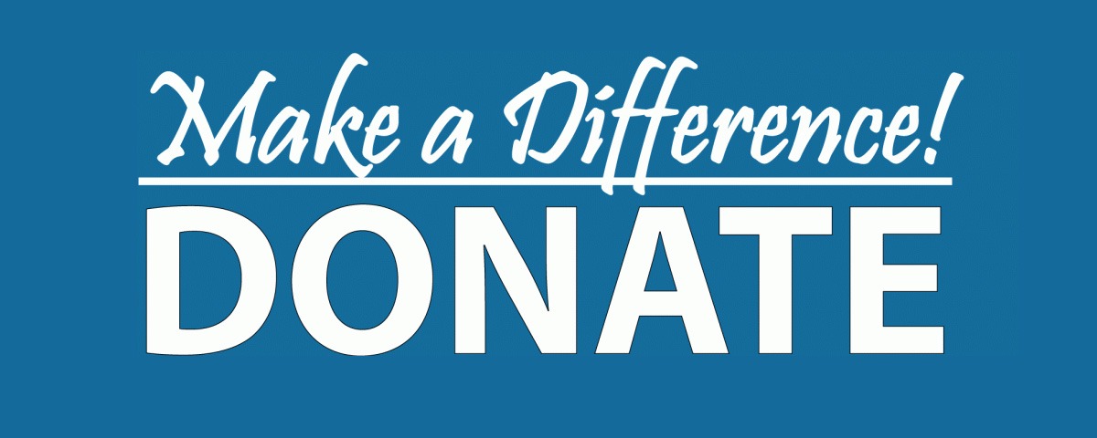 lavistacommunityfoundation.com/donate.html