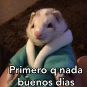 Gabrielcan_03's tweet photo. @__lasise https://t.co/BeLo8GExMe