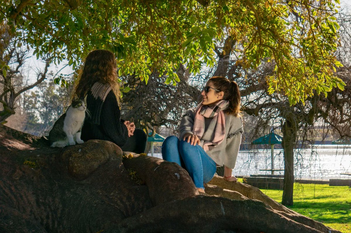 NecocheaTur's tweet photo. Un plan irresistible, es agarrar el mate y disfrutar todo un día en el #RioQuequén 🧉
¿Y si venís este finde? Dale, estás a unas remadas de estar remando en Necochea 😉
#NecocheaTur 🌅 #MagicamenteNatural 🌄 #EstamosCerca 🏞️
#QuequenTur 🌞 #LaMejorPlayaArgentina 🚣🏻♀️ https://t.co/cSrcvX87Y9