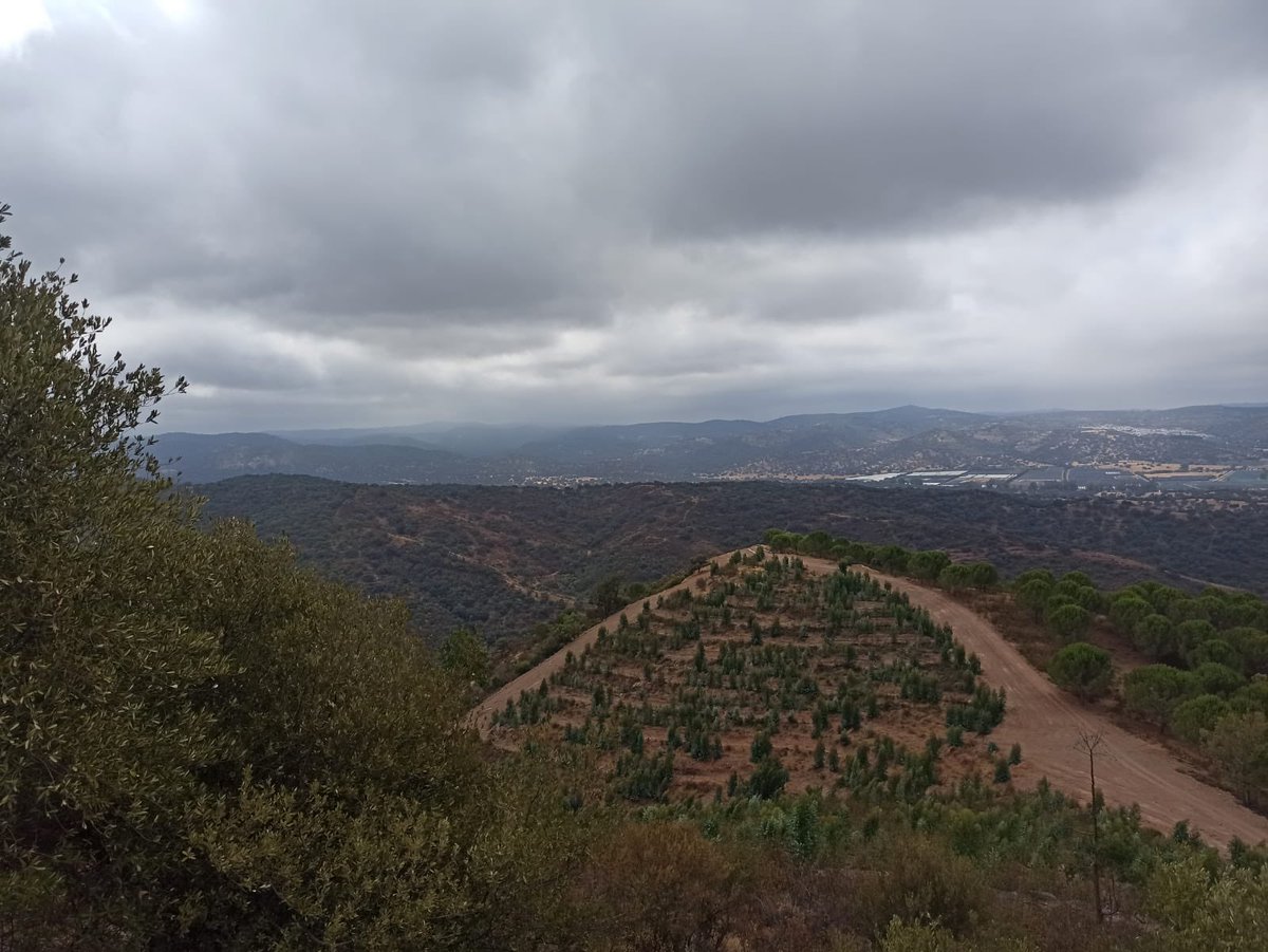 LabIF_UCO's tweet photo. Caracterizando la dificultad de extinción bajo diferentes escenarios de fuego en Puntos Estratégicos de Gestión de la provincia de Huelva https://t.co/18amQ4QbrK