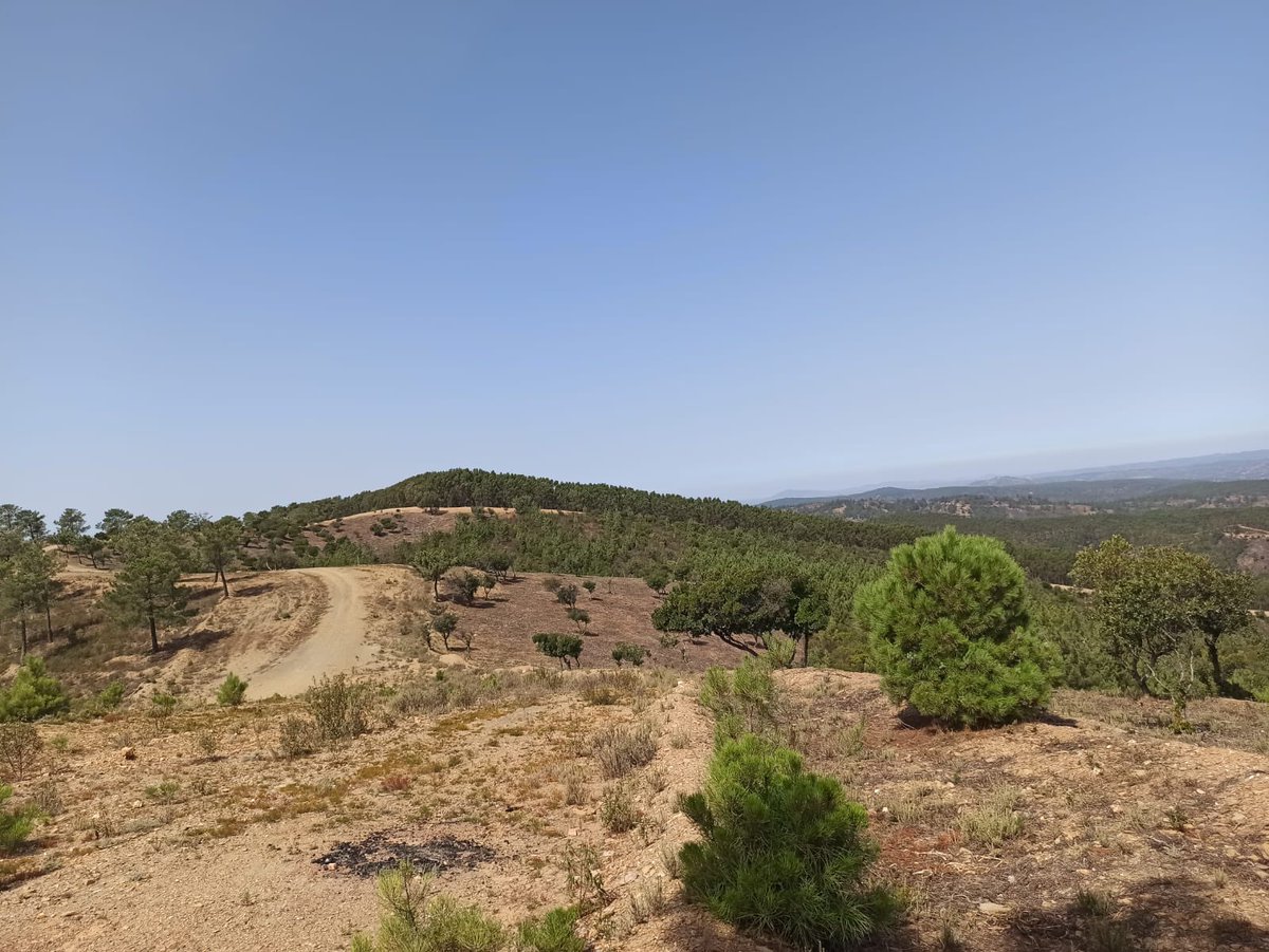 LabIF_UCO's tweet photo. Caracterizando la dificultad de extinción bajo diferentes escenarios de fuego en Puntos Estratégicos de Gestión de la provincia de Huelva https://t.co/18amQ4QbrK