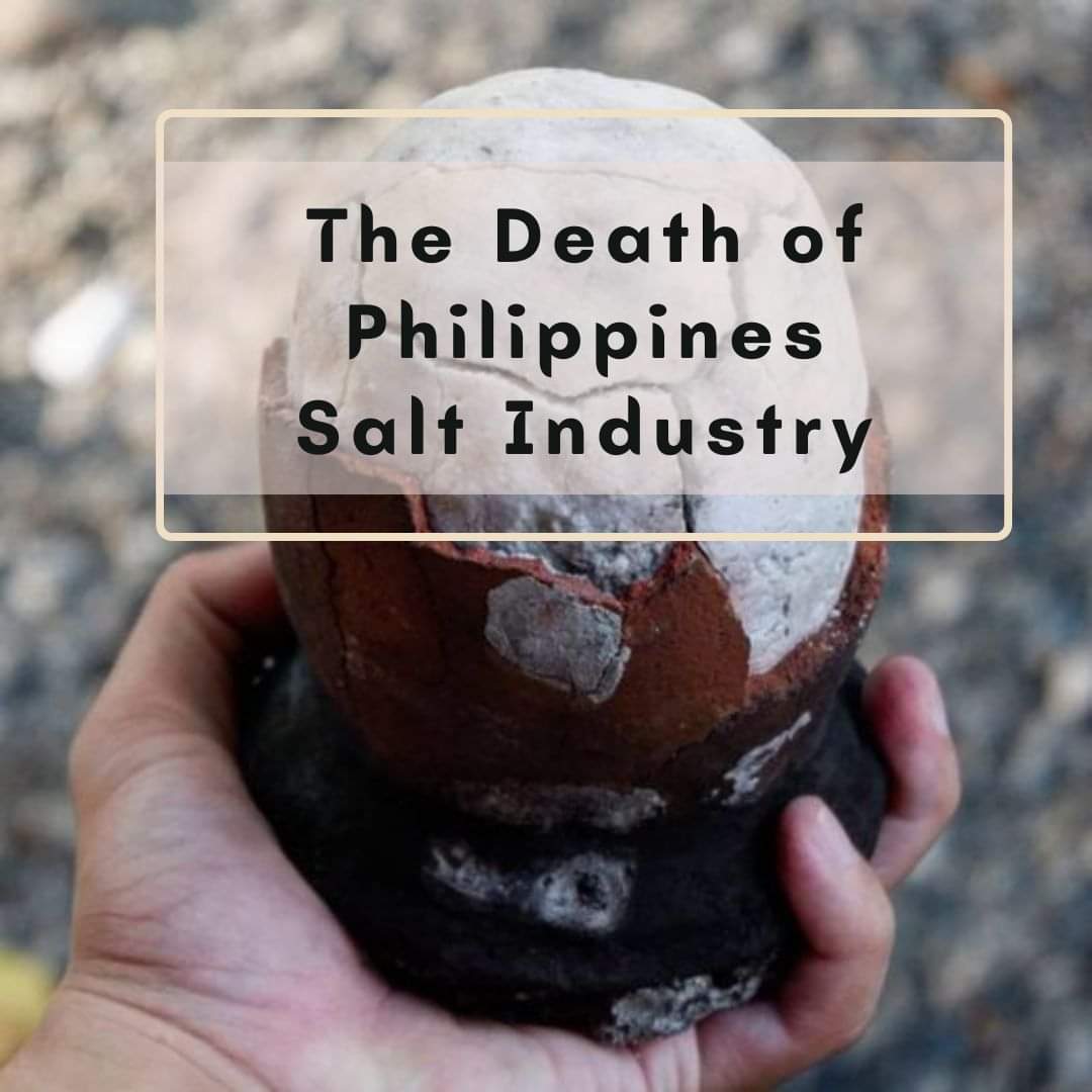 Geemiz's tweet photo. Did you know that the #Philippines imports 93% of its salt? Isn't this ridiculous for a country surrounded by sea?
Learn more here https://t.co/BLbqUMWblO
#localph @sunstaronline @ManilaTimesNEWS @cebudailynews https://t.co/X1TXn2WO4U