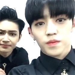 random scoups (@randomcoups) on Twitter photo 