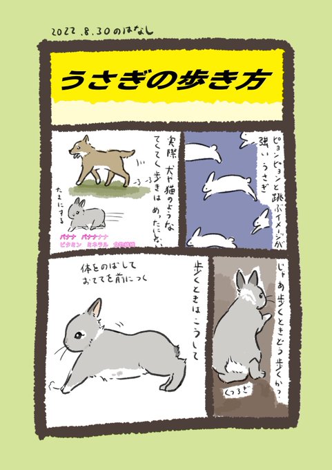 今日のrabbit…

うさぎがいる
#うさぎのいる生活 