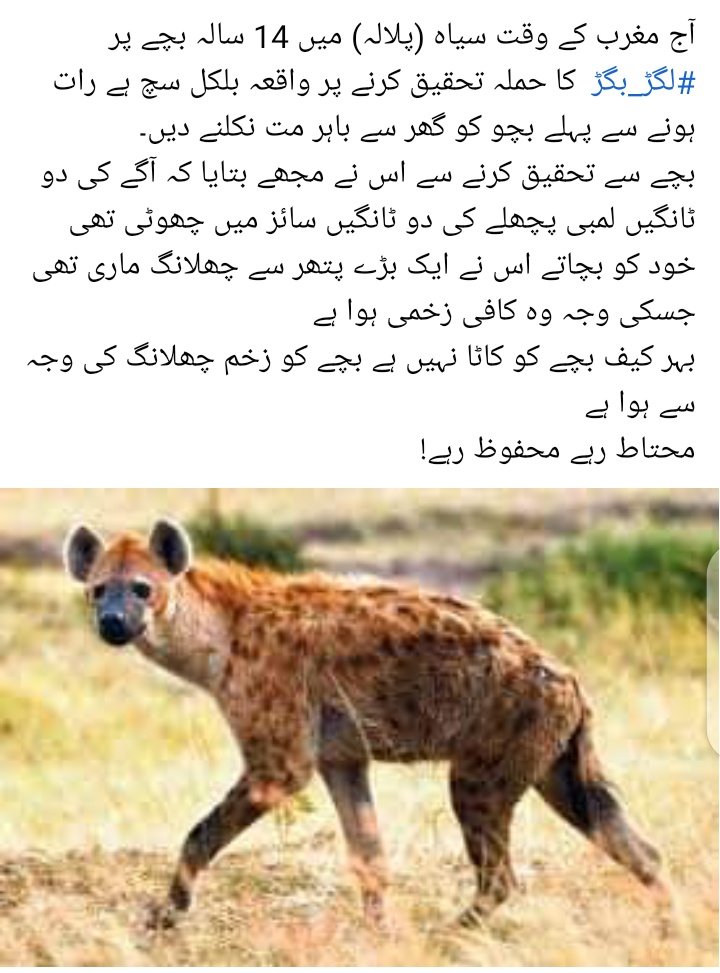 Seyabkhandir's tweet photo. #Dir_Lower #Kp_update https://t.co/1em9XD9mRL