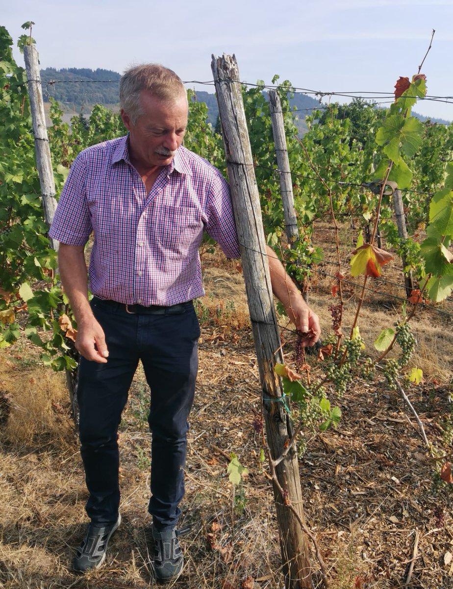 BWV_NET's tweet image. Angesichts der massiven #Trockenheit und des Klimawandels fordert der Winzervorsitzende des Kreisverbandes Bernkastel-Wittlich, Thomas Kaufmann, #Wasserspeicher und #Regenrückhaltebecken für #Tröpfchenbewässerungen. Alle Landes-Akteure &amp;amp; Behörden sind gefordert, Wege aufzuzeigen.