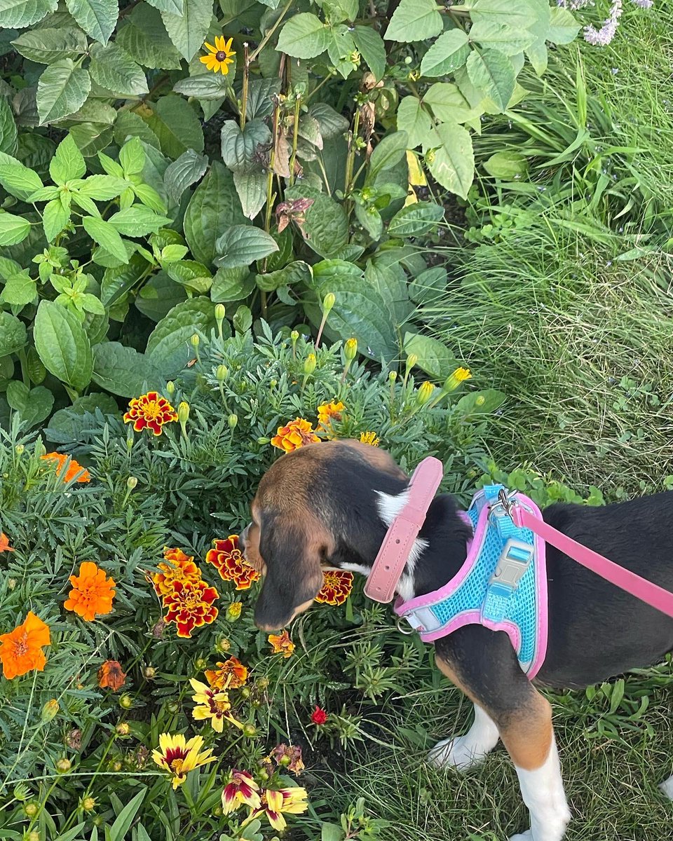 𝑶𝒍𝒊𝒗𝒊𝒂 𝑭𝒆𝒓𝒏𝒂𝒏𝒅𝒆𝒛, 𝑷𝒉.𝑫. tweet media