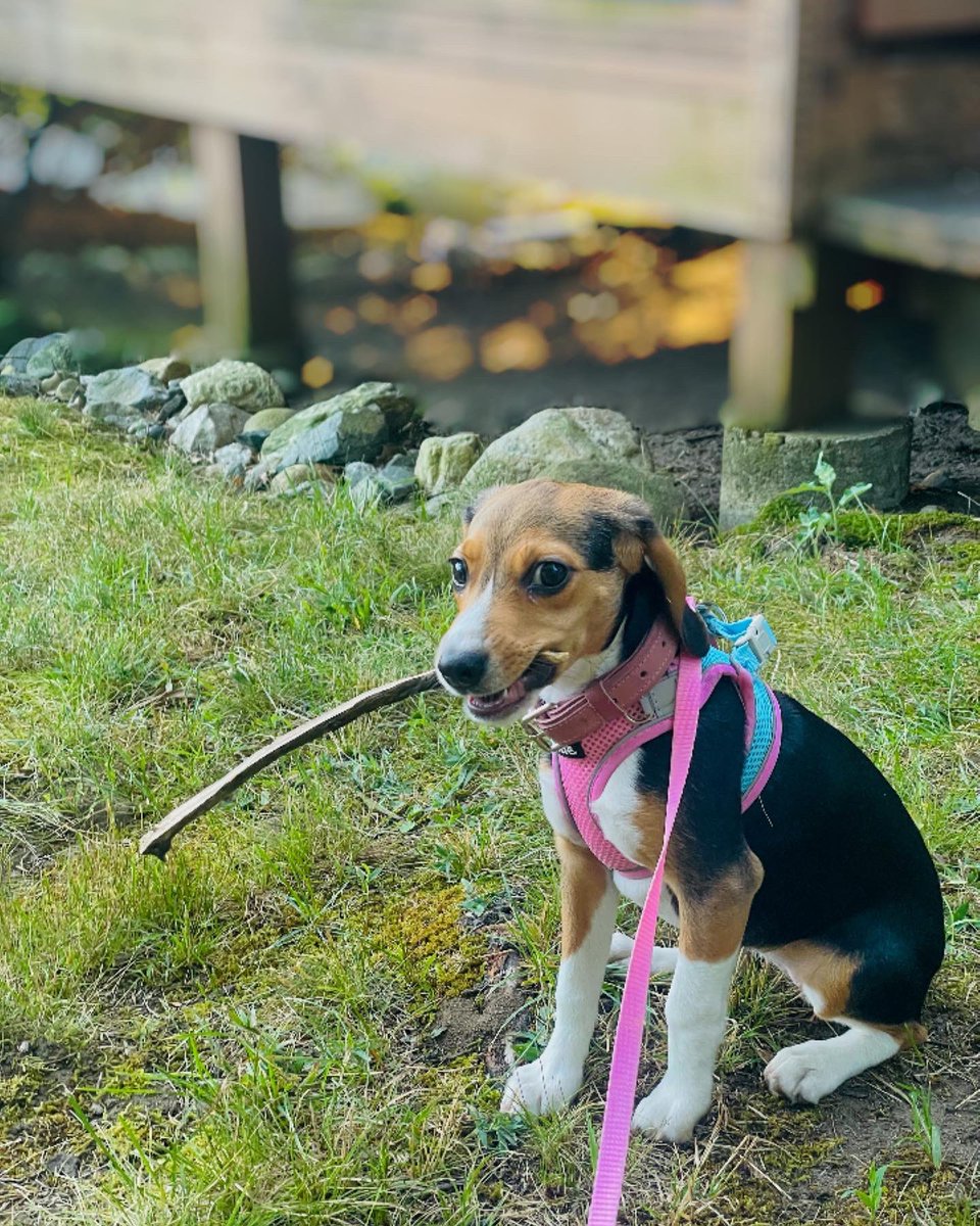 𝑶𝒍𝒊𝒗𝒊𝒂 𝑭𝒆𝒓𝒏𝒂𝒏𝒅𝒆𝒛, 𝑷𝒉.𝑫. tweet media