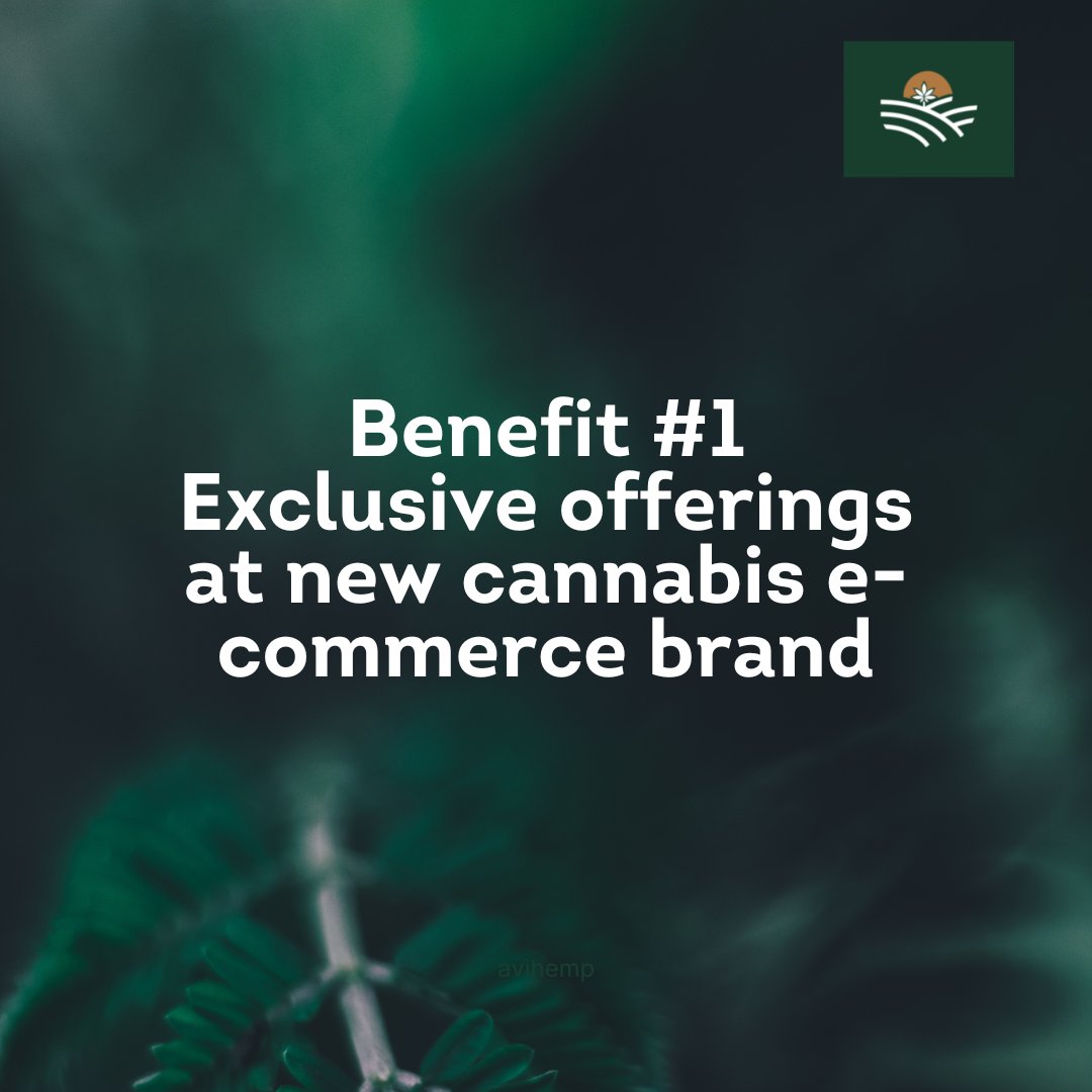 The benefits of joining our community early?

There are many, we start with our new e-commerce brand:

1) accessibility to products only for members
2) at the best price

#e-commerce #hemp #brand #EXCLUSIVE