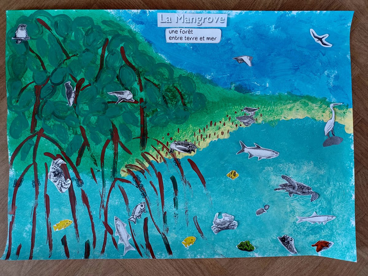 Les élèves de l'#école ouverte de Daniel #Pidéry du #REP+ #Dillon 2 mettent en valeur leur visite de la #mangrove de #Génipa par des productions écrites et visuelles <a href="/acmartinique/">Académie de Martinique</a> <a href="/CircoFdF1/">Circo FORTdeFRANCE 1</a> <a href="/fdfville/">Fort-de-France Ville</a> <a href="/EPrioritaire972/">Edu_Prioritaire972</a>