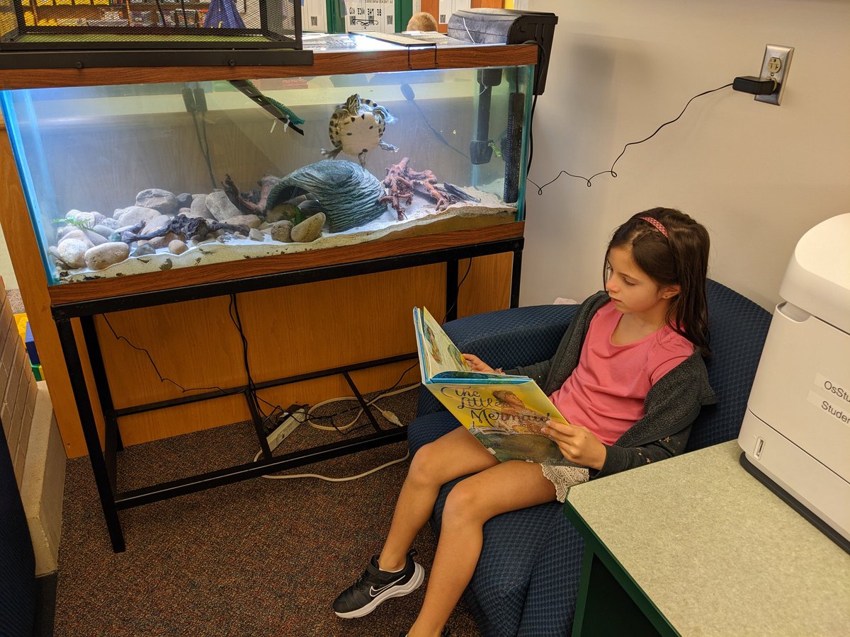 os_librarian's tweet photo. Our new stations are a hit! Reading with a 🐢, small Lego table, and, as requested, fidgets!! #libraryisfun #calmreadingspace #Squirtthelibraryturtle https://t.co/nFN9vUkK9t