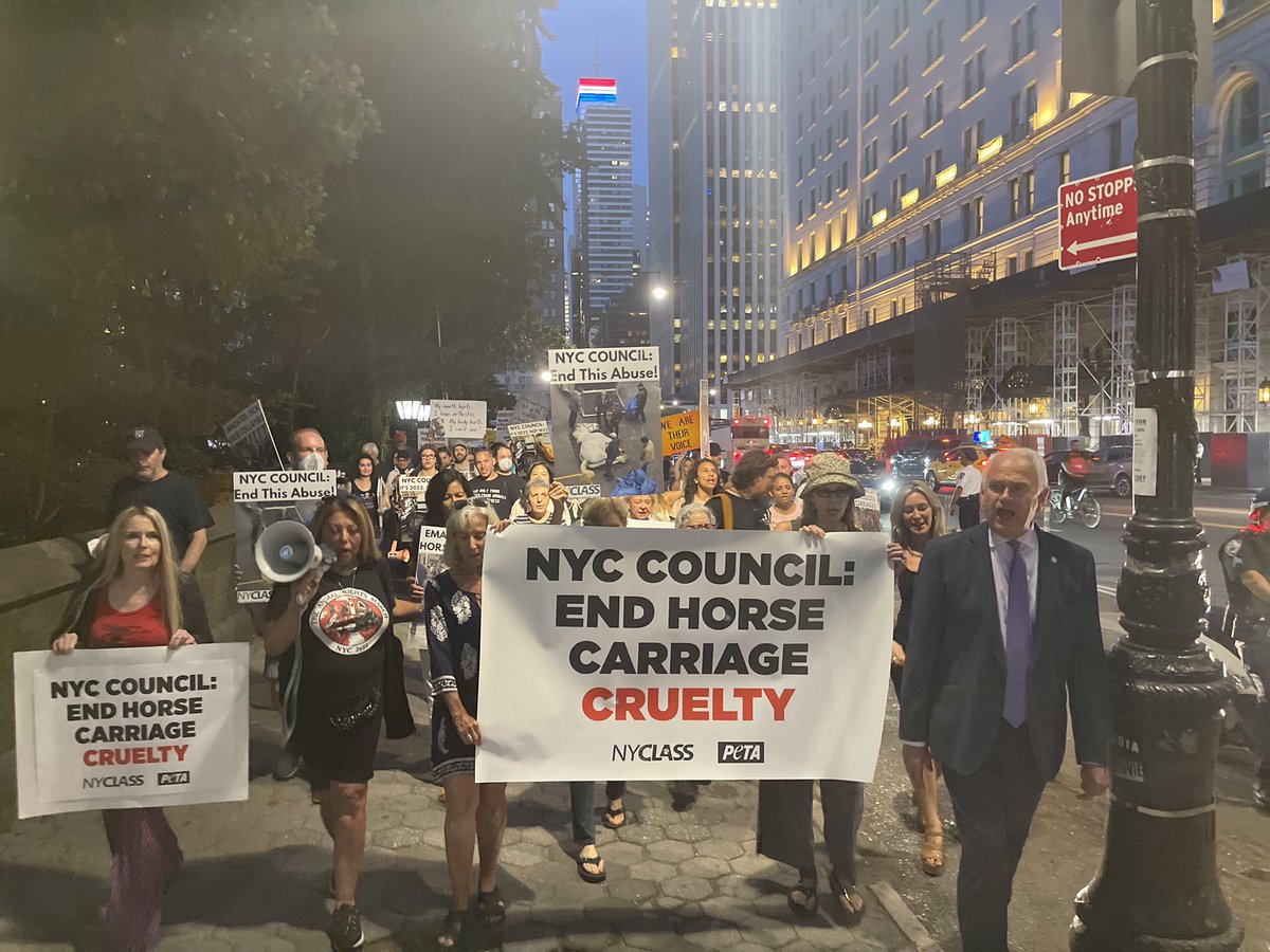 BobHoldenNYC's tweet image. I joined hundreds of compassionate New Yorkers to protest the abuses of the horse carriage industry. 
The residents of this city resoundingly support moving to electric carriages and ending the cruelty that these horses endure.
The world is watching. 

#Pass573LetHorsesBe