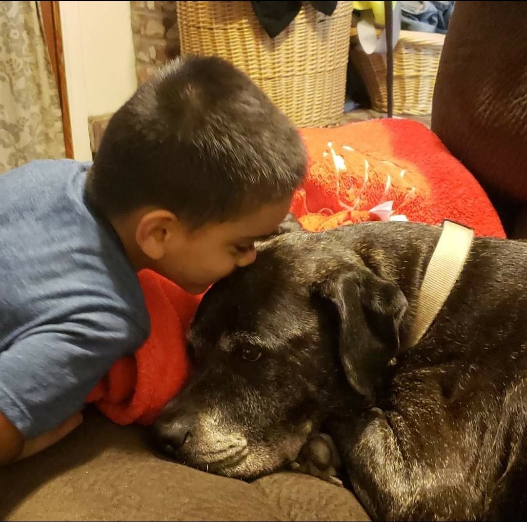 roughnecksmon's tweet photo. @dog_rates @Trupanion Good bye kisses the morning we had to put her down... https://t.co/0bXwrngDHS