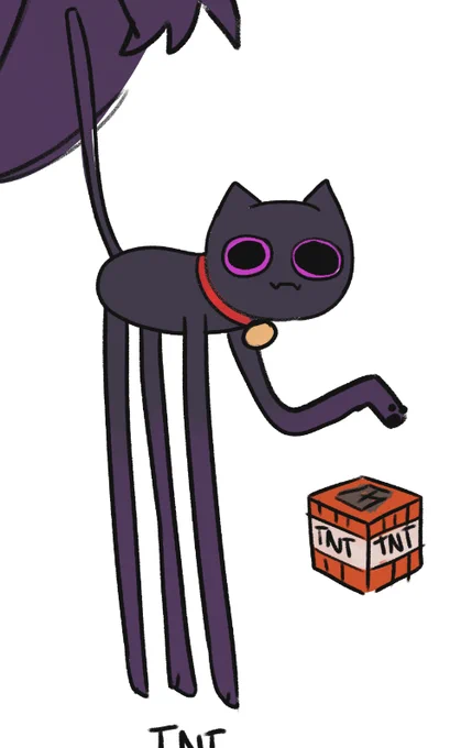 endercat loves anything to do with destruction and mayhem, favorite block to carry around is TNT 