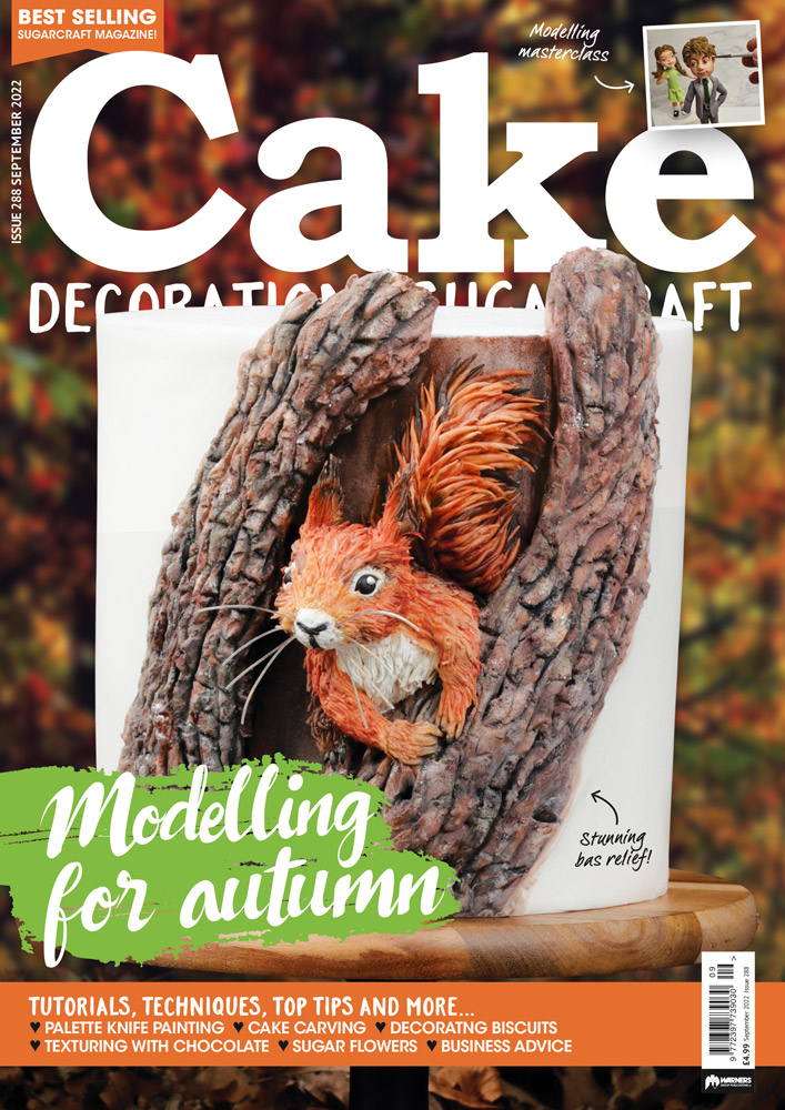 LindysCakes's tweet photo. My red squirrel cake has made the front cover of the Sept edition of @CakeDecMag. I’m absolutely delighted. Find out more here: https://t.co/qw6MJJsFh9 #redsquirrel #cakedecorating #cake #frontcover #magazinecake  #sugarcraft #squirrelcake #shropshirebusiness #cakedecoratingtutor https://t.co/Xc2TG9VHHI