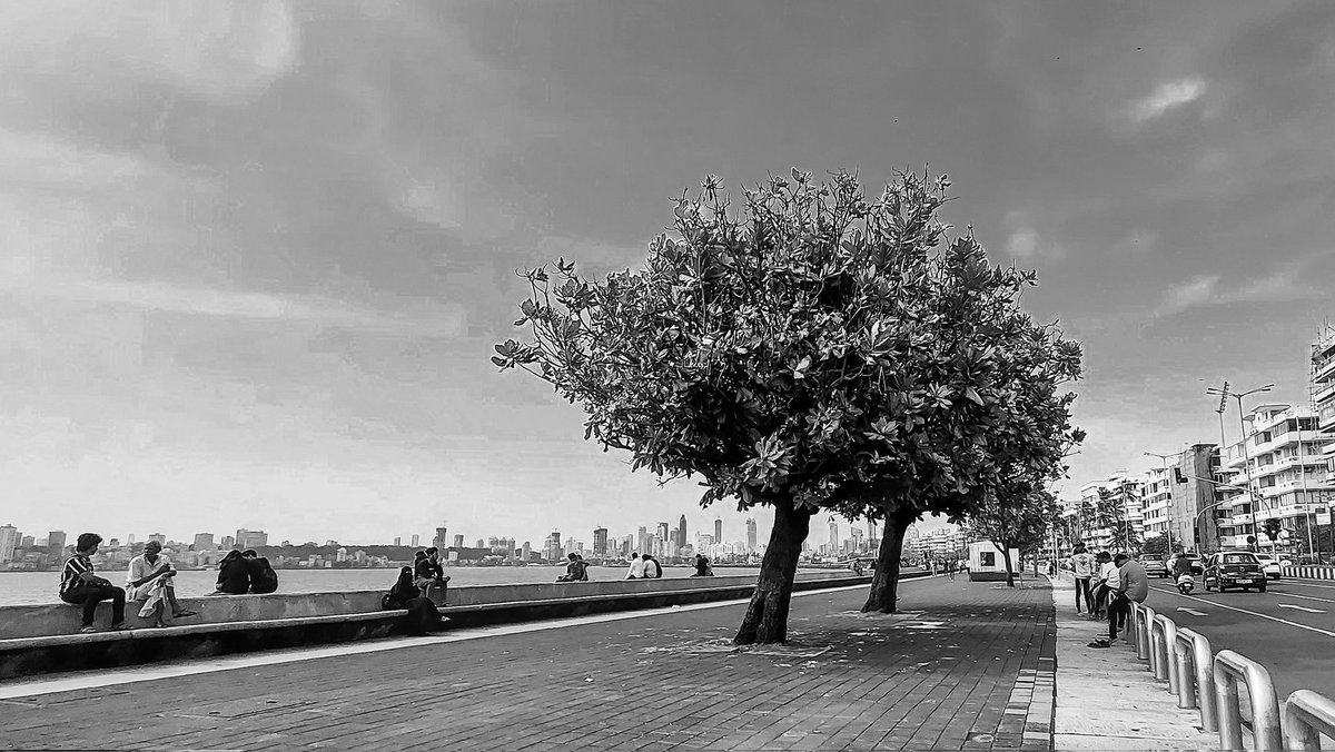 technoyupp's tweet photo. 🌊🌳
#Mumbai #marinedrive #bombay @MumbaiCityFC @mumbaiheritage @mumbaipressclub https://t.co/z133iSZCqP