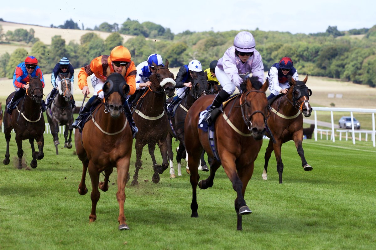 RACE 3 RESULT - In Memory Of Beryl Greenslade Classified Stakes

🥇9. On Edge 11/1
🥈11. Peachey Carnehan
🥉1. Bama Lama 100/30

Jockey: <a href="/mollie_phillip/">Mollie phillips</a> 

Trainer: Christopher Mason

Owner: Chris Mason Racing