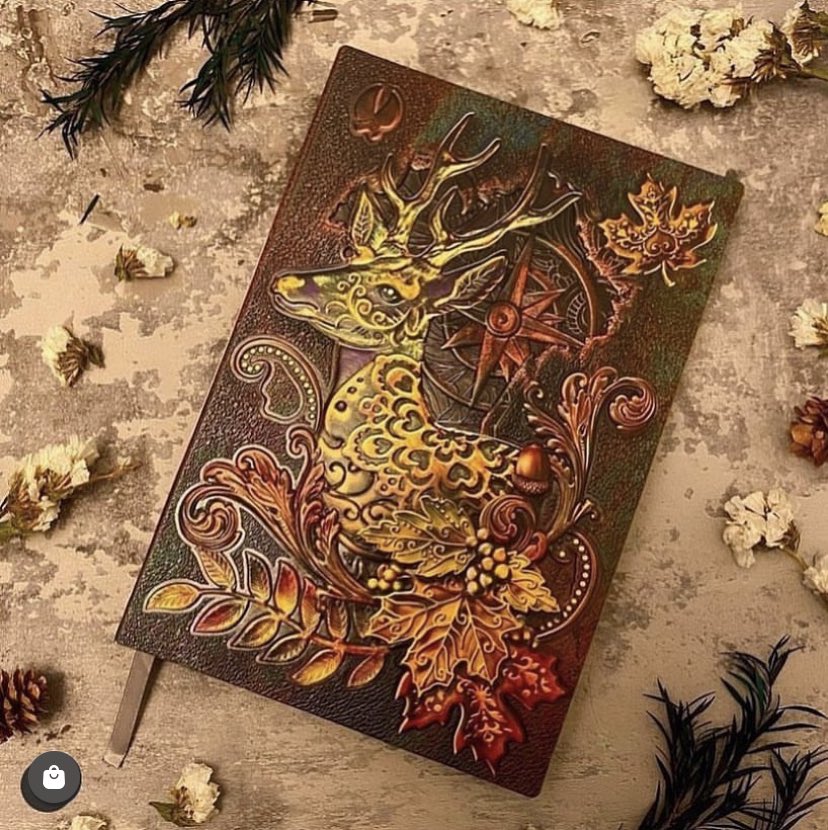 EnchantHeather's tweet photo. “Don’t write what you know—what you know may bore you, and thus bore your readers. Write about what interests you—and interests you deeply—and your readers will catch fire at your words.”
-Valerie Sherwood
•
https://t.co/frpKO2Rvv3 
•
#Journal #Writing #Writer #Diary #Notebook https://t.co/L3vKi7nWPu