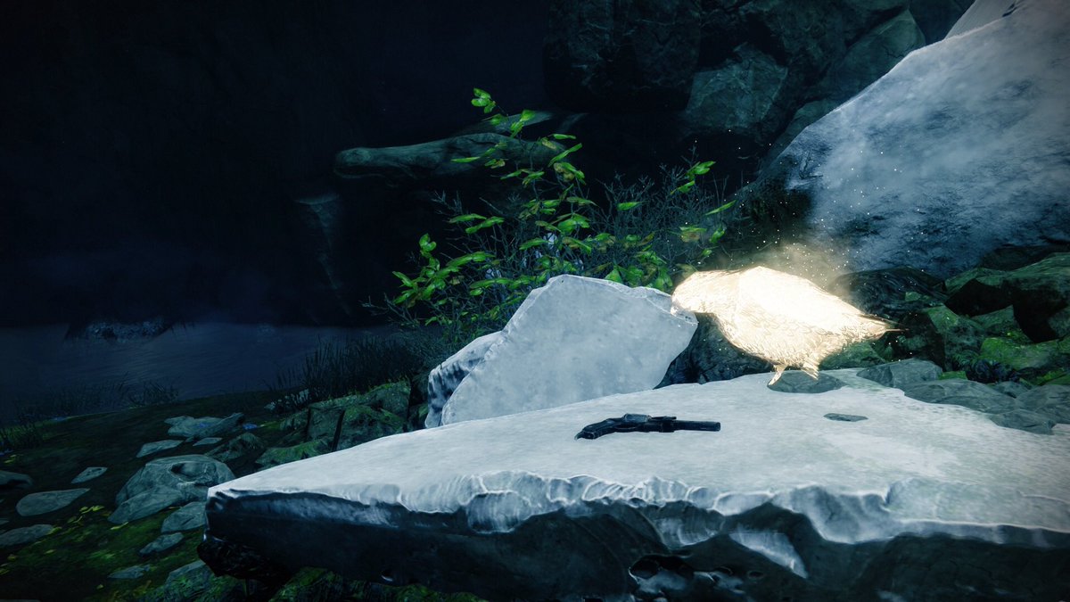 ZanderIsHere_'s tweet photo. Some of my favorite destiny screenshots I took, maybe I’ll post some I’ve taken of other guardians.

#Destiny2 #DestinyTheGame https://t.co/Ohtay7uDZg