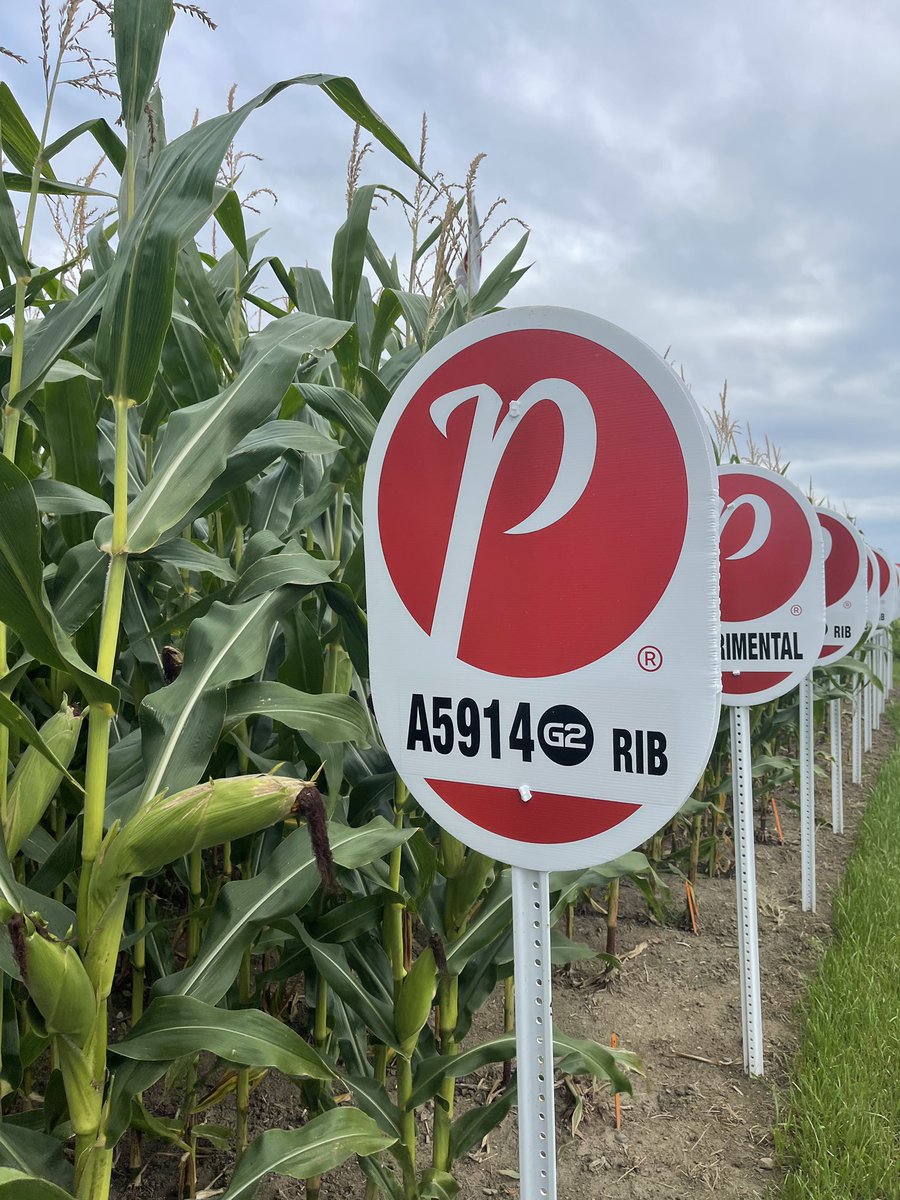 PRIDESeeds's tweet photo. It’s day 1️⃣ at Expo Champs in Saint-Hyacinthe, Quebec!

Be sure to stop by the #PRIDESeeds plots and speak to one of our team members about our corn and soybean line up! 🌽🌱

#ExpoChamps #PRIDEInMyField #CdnAg #Plant22 #Harvest22 https://t.co/I7Nw14MWPx