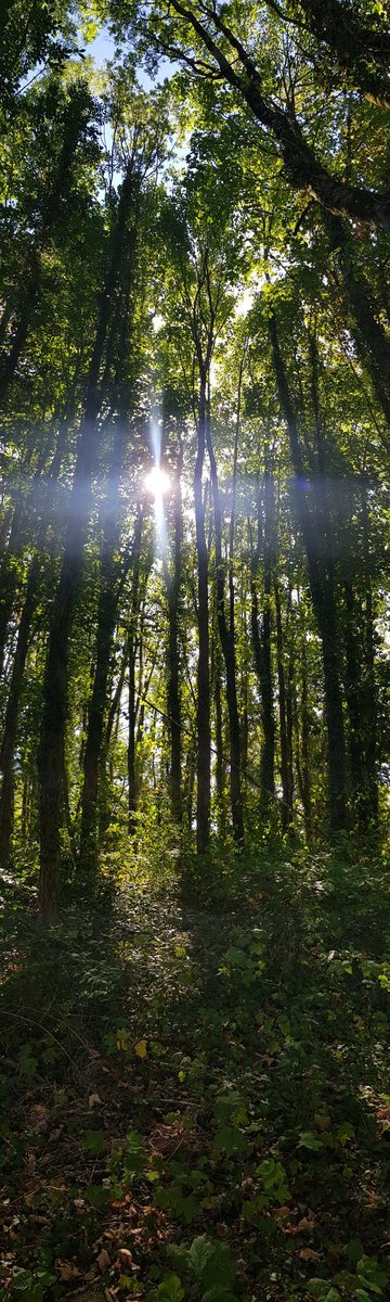 PhotoLodeie's tweet photo. https://t.co/TQK9DCWmU0