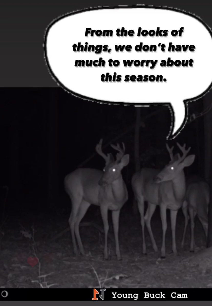 N1outdoors's tweet photo. Any of you have this problem? #hunting #whitetail https://t.co/CNzLWzDOcC