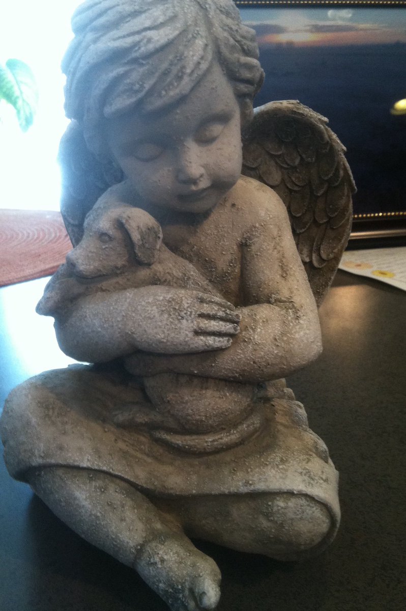 ivagonefishing's tweet photo. @PB3III 🥲I’ll share my Angel dog with you ! 
My Bear is probably lookin after her  !  #Dogsinheaven https://t.co/ANNCmS4d4o