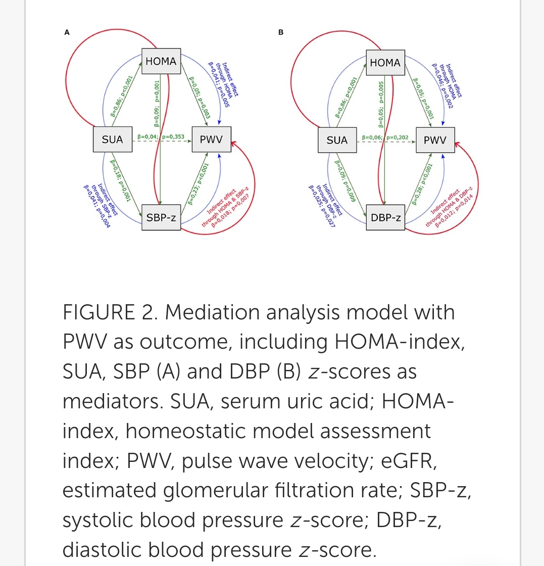 drjosflynn's tweet photo. Uric acid and arterial stiffness in children and adolescents: Role of insulin resistance and blood pressure @IntPedHTN @ASPNeph
https://t.co/eR0GBTRHvT https://t.co/Qjhp9Er7iY