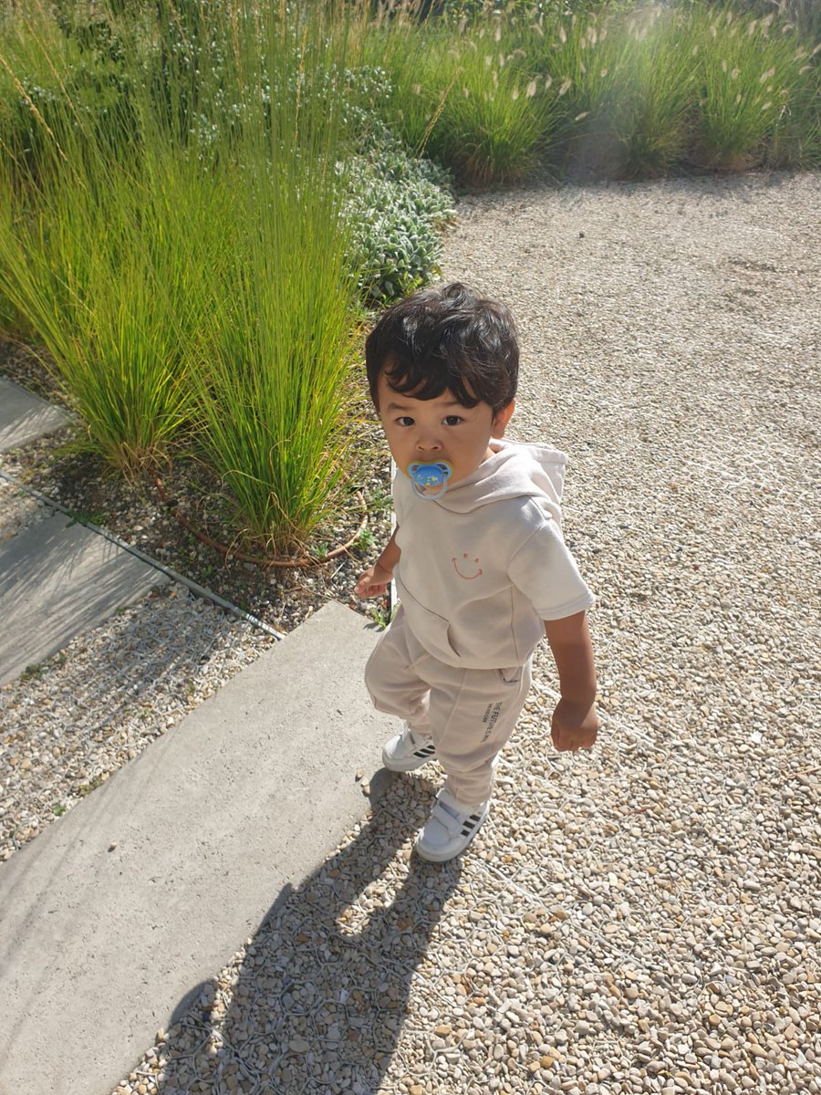 Gioo_ST's tweet photo. Late stream today , this beautiful little man turns two years today! 😁❤️ https://t.co/Pz7uAQpkuF
