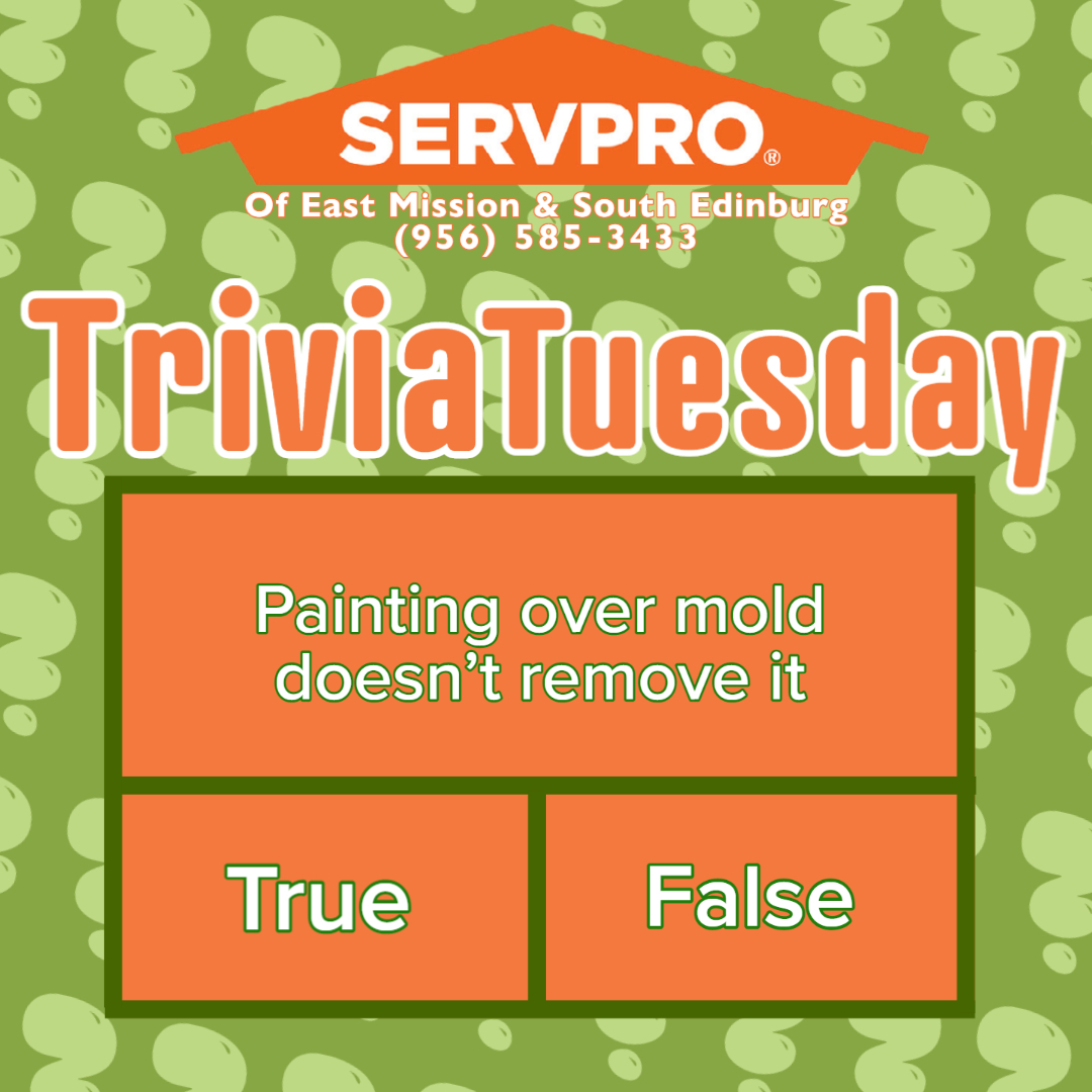 This week's #TriviaTuesday's category is: MOLD

Can you guess the answer? Let us know in the comments what you think! 

If You See Signs of Mold,
Call Us Today – (956) 585-3433 servproeastmissionsouthedinburg.com/mold-remediati…