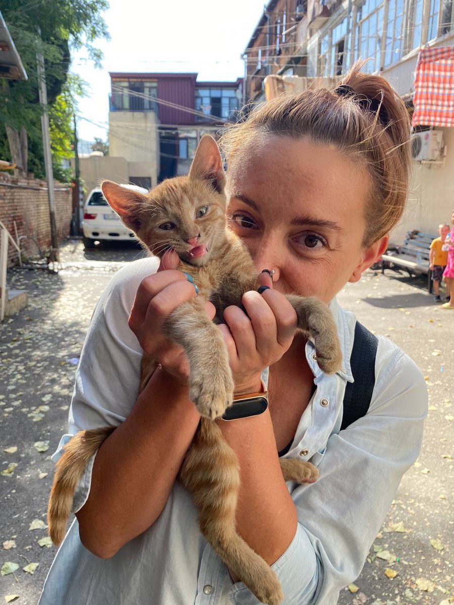 YesMolotowa's tweet photo. История одной удачной охоты. 
Теперь это Пиксель, и у него есть дом 🧡 https://t.co/qDm7Yn7XyT